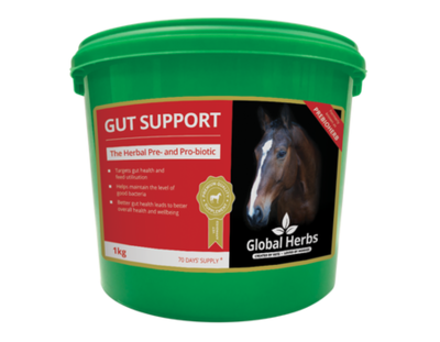 Global Herbs Gut Support 1kg