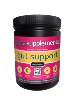 Pure Feed Gut Support 815g