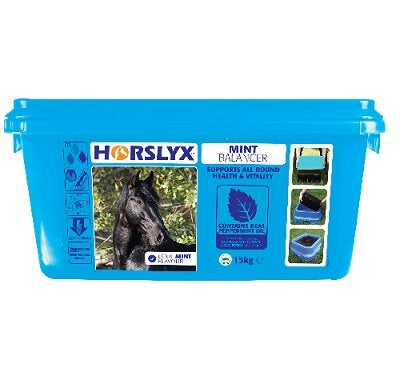 Horslyx Mint Lick 15kg