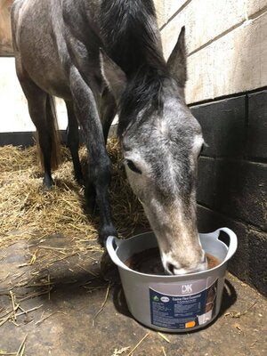 DK Equine Flexi Tub Feed Essential 12.5kg 12.5kg