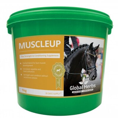 Global Herbs Muscle Up 1kg