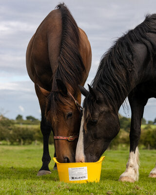 DK Equine Flexi Tub Garlic 12.5kg